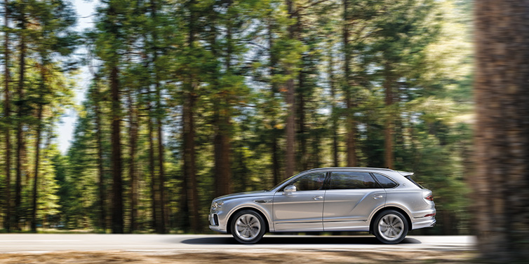 Bentley Zug Bentley Bentayga Extended Wheelbase SUV in Moonbeam paint driving dynamically on a forest road